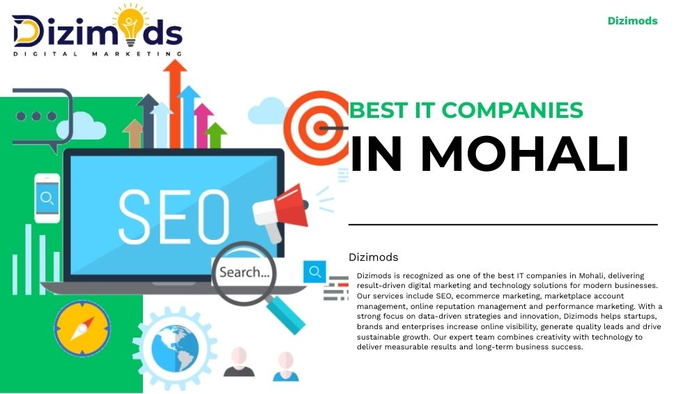 Best IT Company in Mohali