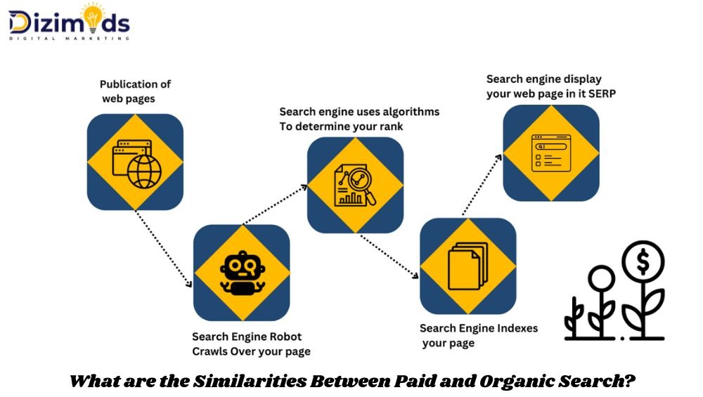 Similarities Between Paid and Organic Search